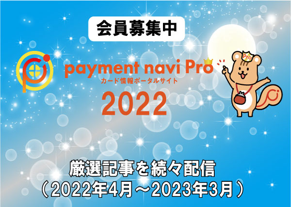 paymentnavipro2022-1