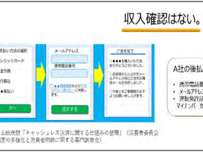後払い決済（BNPL）では収入確認を行わない（出典：内閣府消費者委員会）