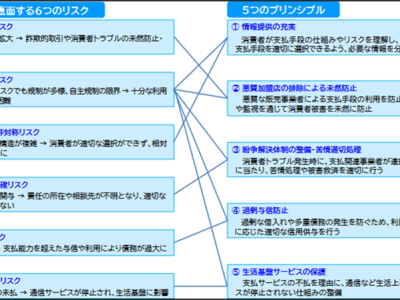 業態ではなく機能に着目した横断的な規律へと転換（出典：内閣府）