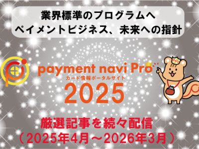 paymentnavipro2025